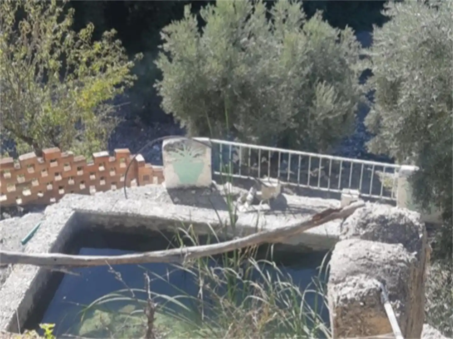 Terreno en venta en Carretera de Mancha Real, Pegalajar Jardín de Terreno en venta en Pegalajar