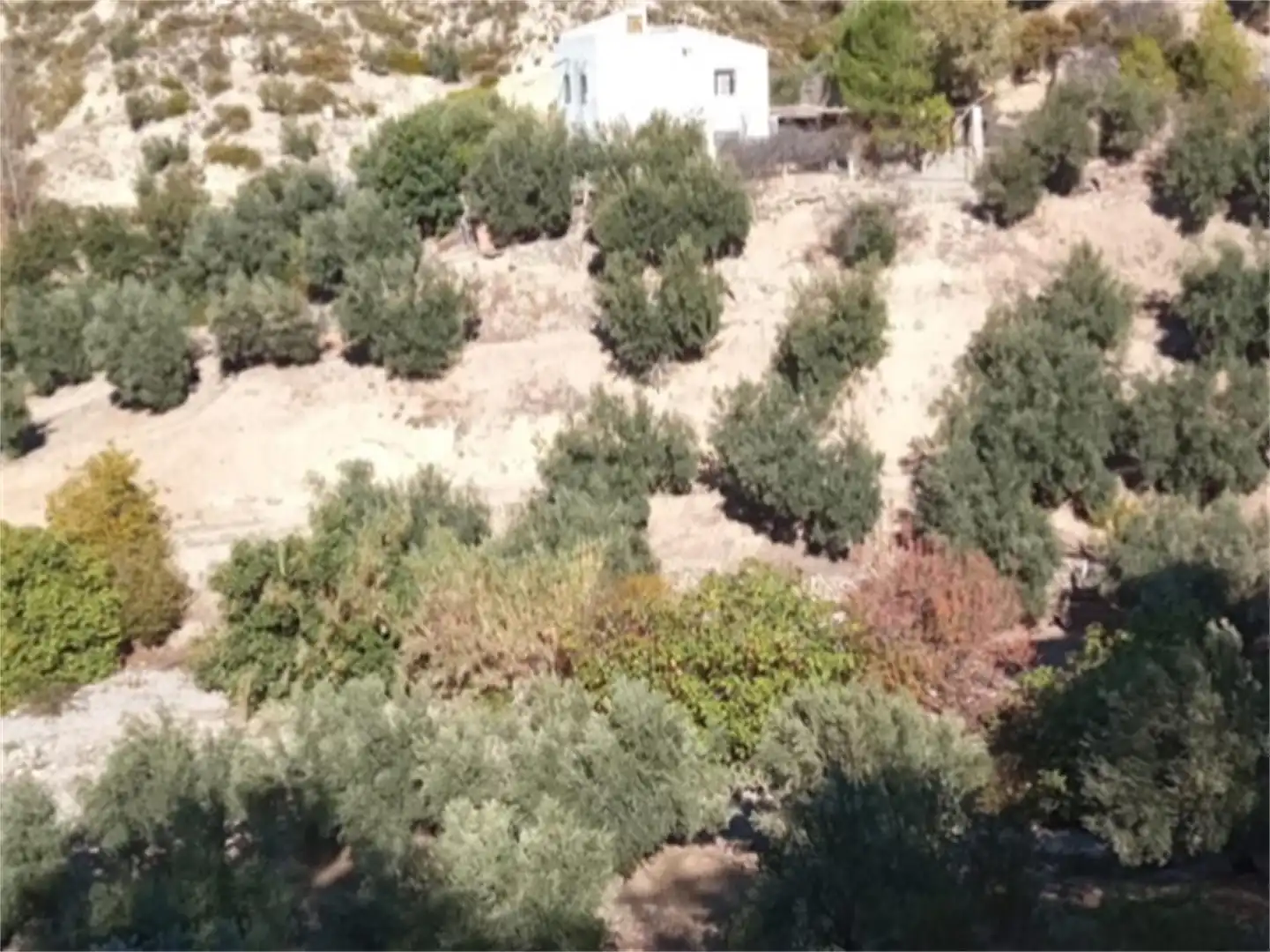 Terreno en venta en Carretera de Mancha Real, Pegalajar Terreno en venta en Pegalajar