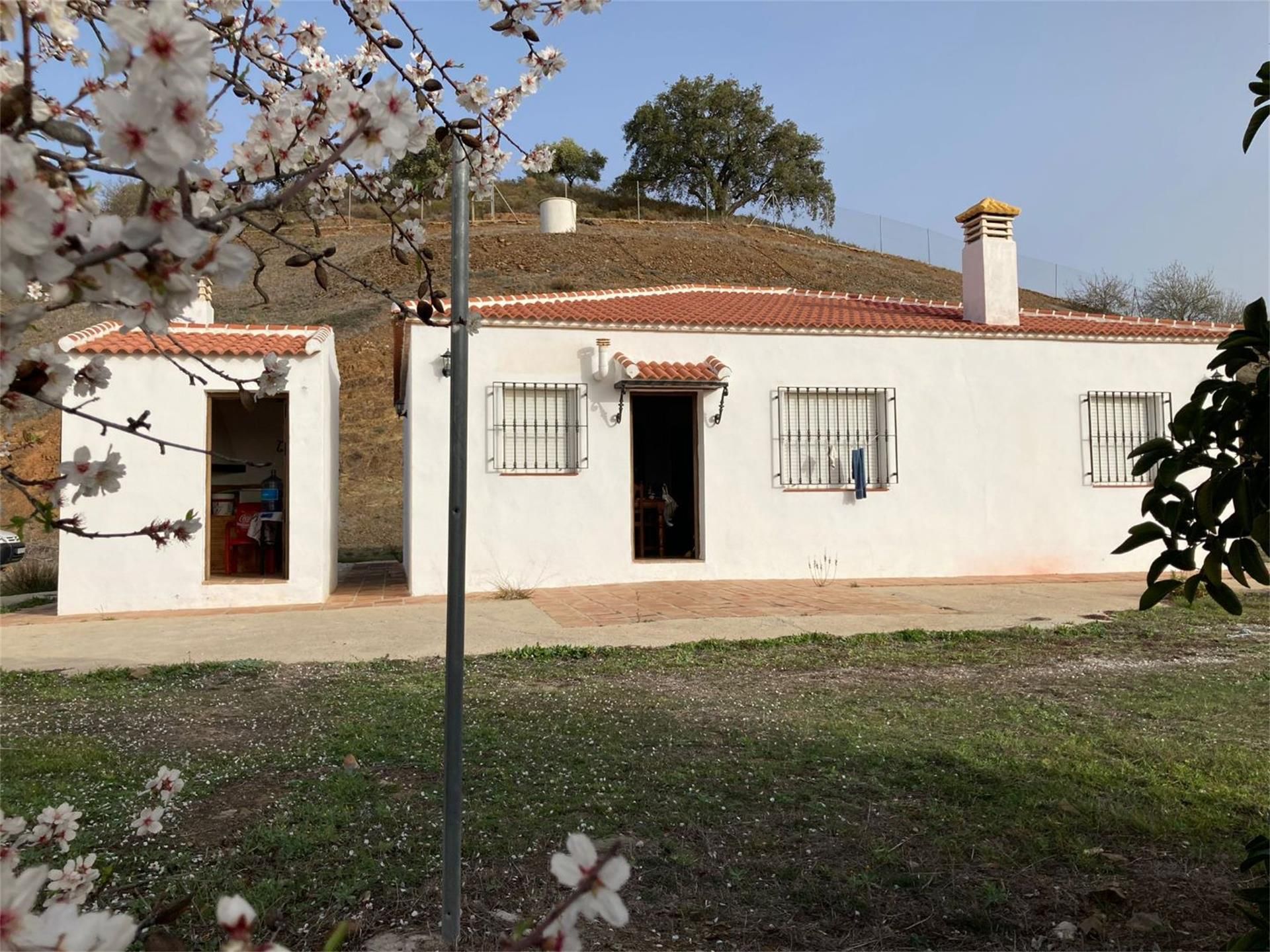 Exterior view of Land for sale in Málaga Capital