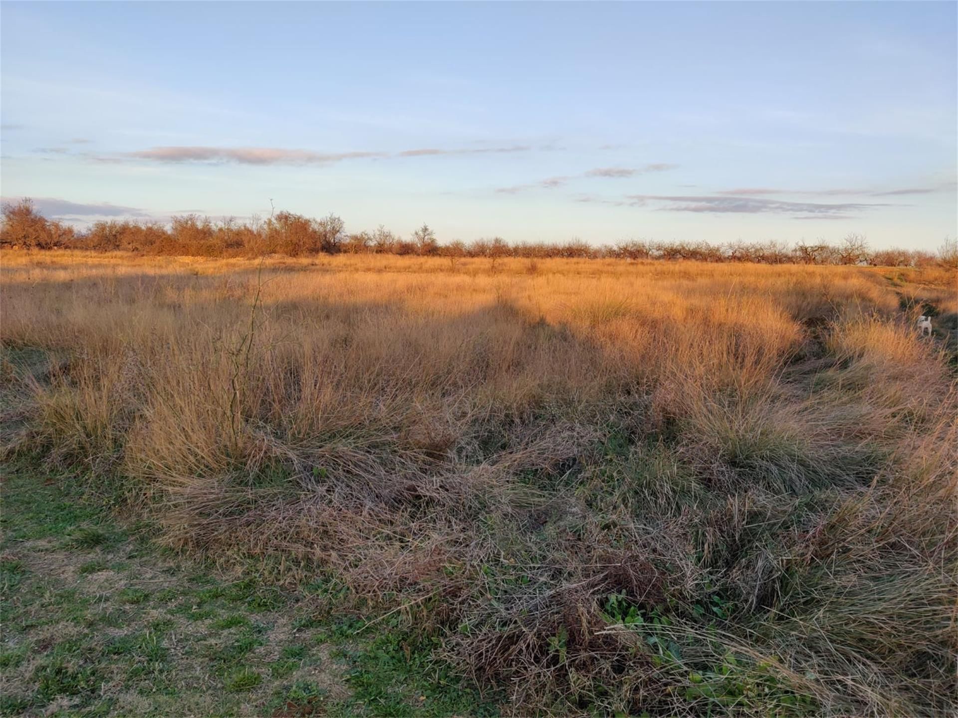 Country house for sale in Vall d'Alba Country house for sale in Vall d'Alba