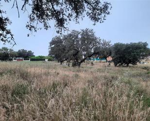 Non-constructible Land for sale in Badajoz Capital