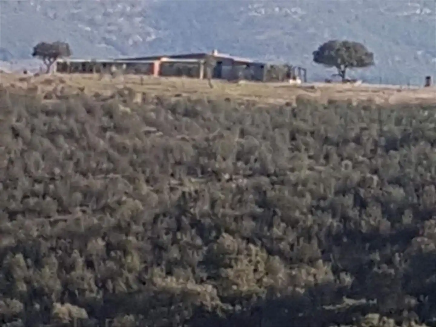 Vista exterior de Finca rústica en venda en Villarta de los Montes