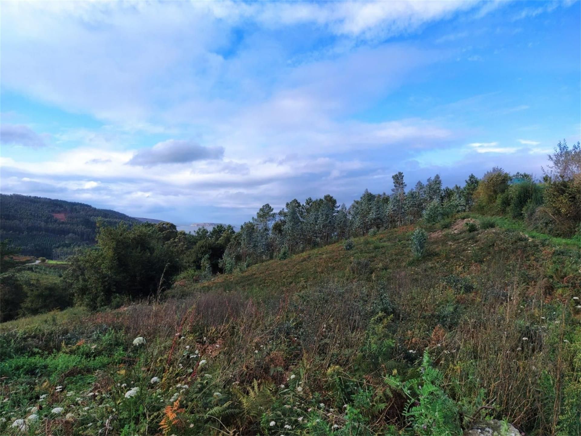 Terreno en venta en Rúa Aviño, 16, Malpica de Bergantiños Terreno en venta en Malpica de Bergantiños