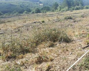 Constructible Land for sale in Boimorto