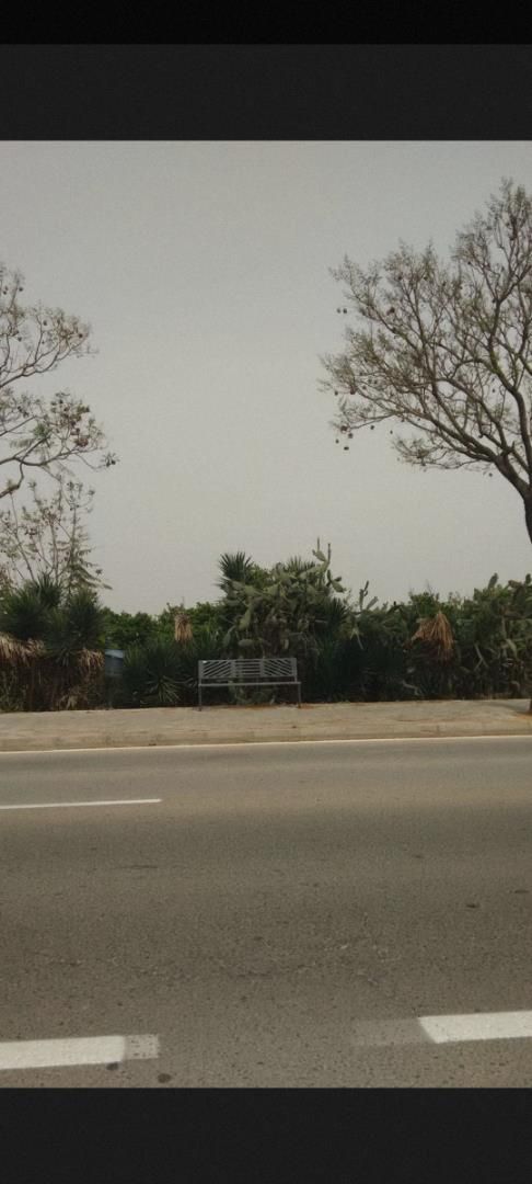 Exterior view of Country house for sale in Dos Hermanas