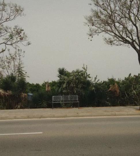 Finca rústica en venda a Avenida Joselito el Gallo, Vista Azul - Consolación, Sevilla - imatge 1 Foto 1 de Finca rústica en venda a Avenida Joselito el Gallo, Vista Azul - Consolación, Sevilla