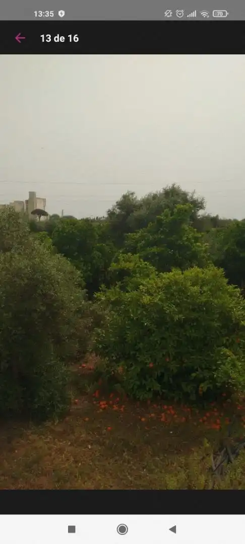 Finca rústica en venta en Avenida Joselito El Gallo, Vista Azul - Consolación Finca rústica en venta en Dos Hermanas