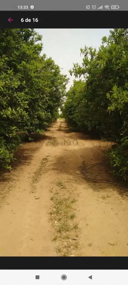 Finca rústica en venta en Avenida Joselito El Gallo, Vista Azul - Consolación Finca rústica en venta en Dos Hermanas