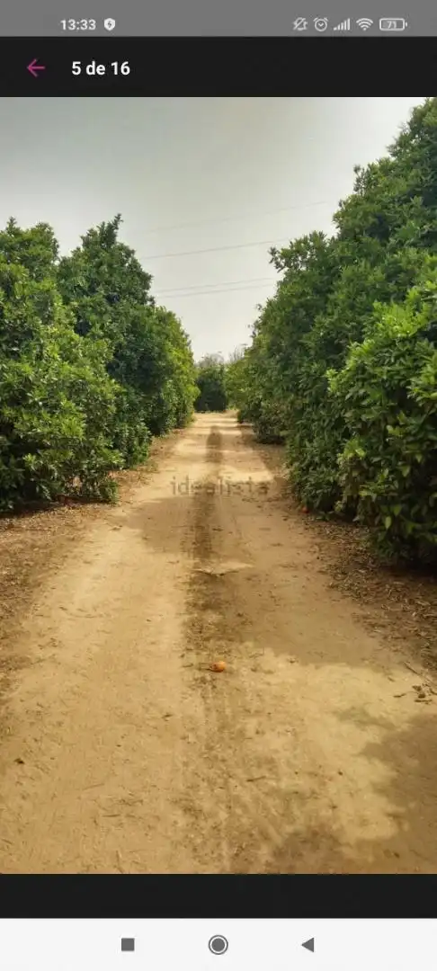 Finca rústica en venta en Avenida Joselito El Gallo, Vista Azul - Consolación Finca rústica en venta en Dos Hermanas