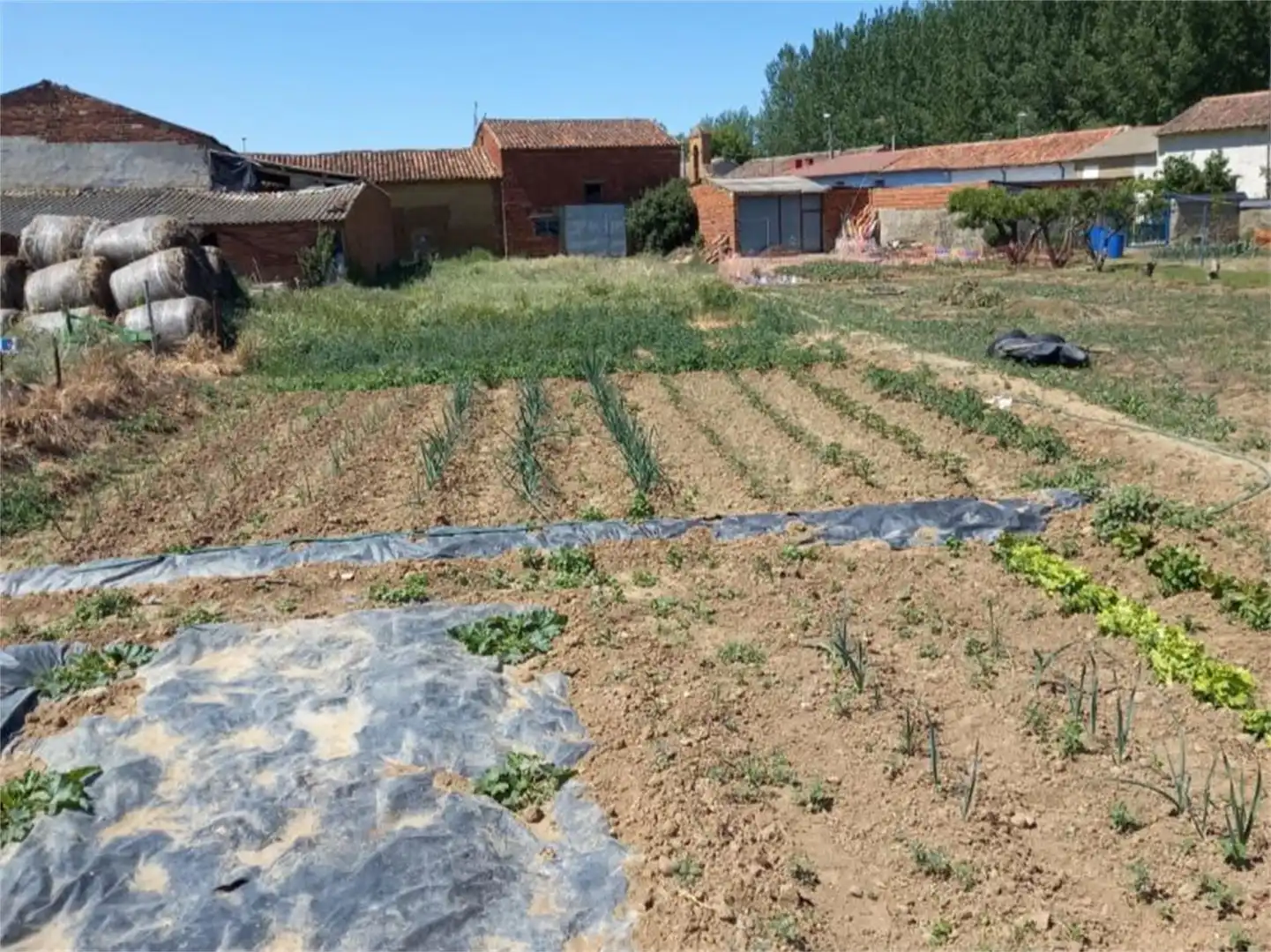 Pis en venda a Valdepolo Pis en venda en Valdepolo amb Jardí privat