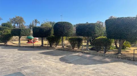 Àtic en venda a Avenida del Municipio, Juzgados - Plaza de Toros, Alicante - imatge 4 Foto 4 de Àtic en venda a Avenida del Municipio, Juzgados - Plaza de Toros, Alicante