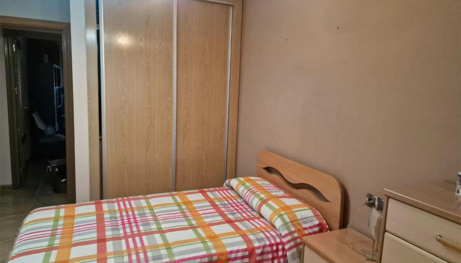 Piso para compartir en Calle Antonio Rocamora, Espinardo, Murcia Capital - imagen 1 Foto 1 de Piso para compartir en Calle Antonio Rocamora, Espinardo, Murcia Capital