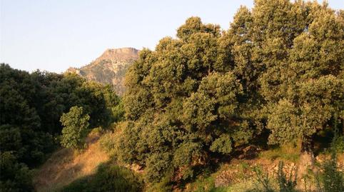 Finca rústica en venta en A-11, Yeste, Albacete - imagen 5 Foto 5 de Finca rústica en venta en A-11, Yeste, Albacete