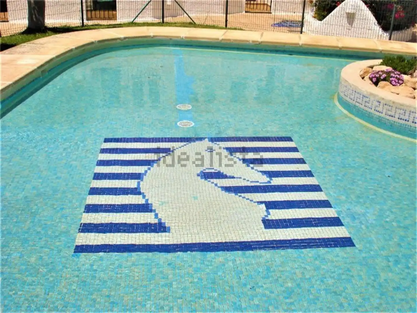 Swimming pool of Detached homes for rent in Níjar  with Swimming Pool