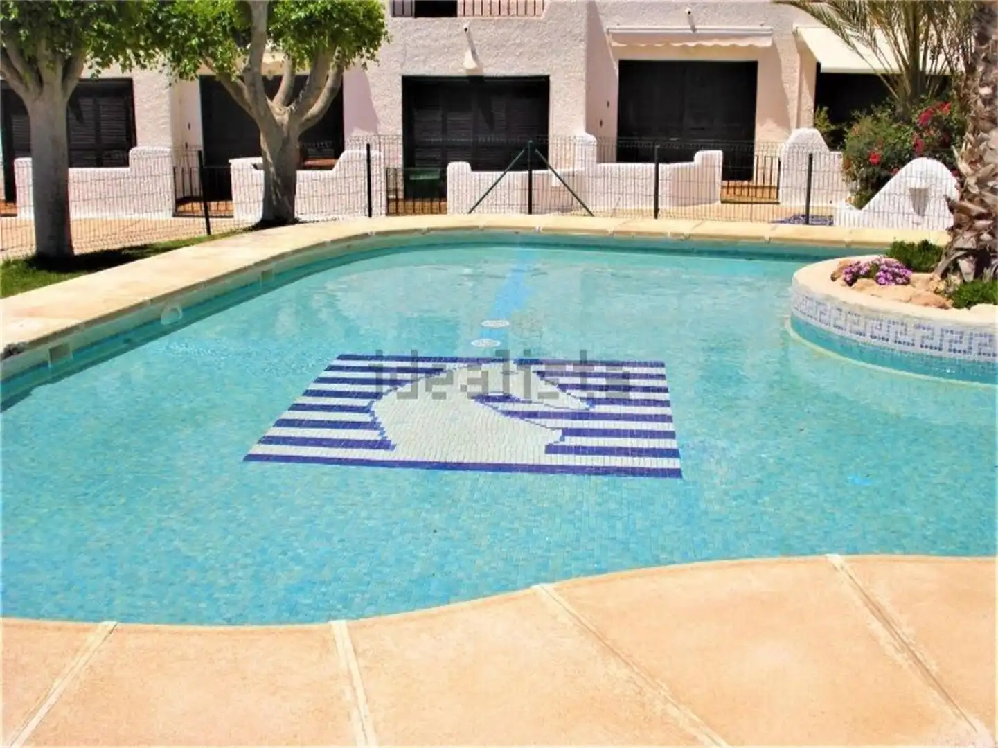 Swimming pool of Detached homes for rent in Níjar  with Swimming Pool