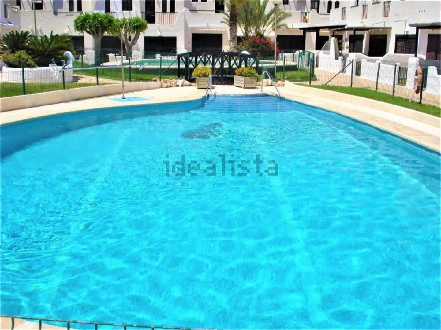 Swimming pool of Detached homes for rent in Níjar  with Swimming Pool