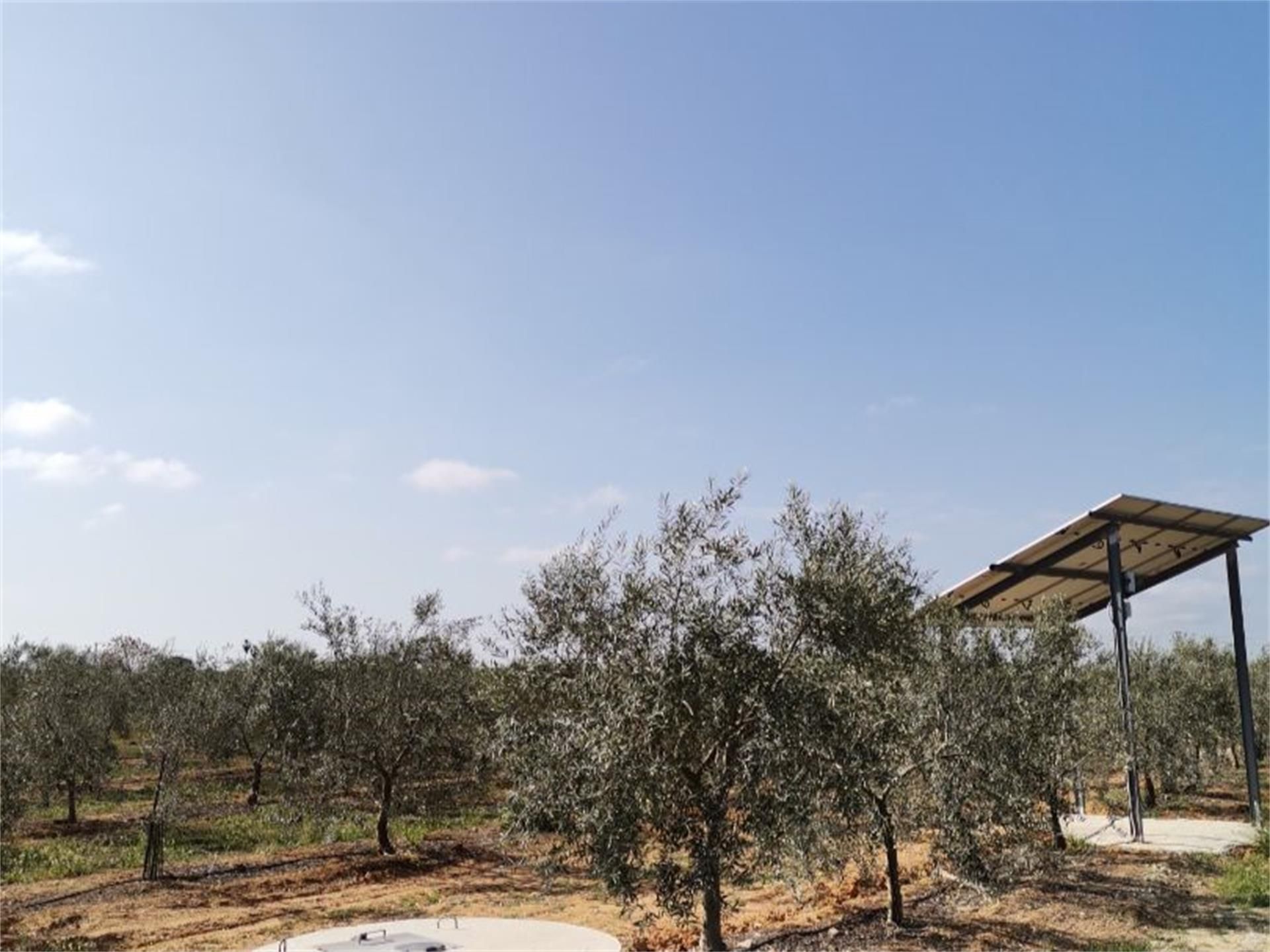 Land for sale in Arahal Land for sale in Arahal