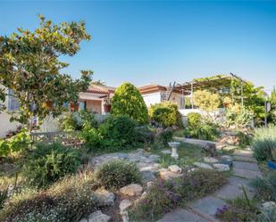 Garden of House or chalet for sale in El Vendrell  with Terrace and Swimming Pool