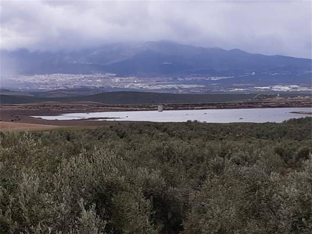 Terreno en Venta en Avenida de Granada en San Ildefonso - Catedral