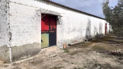 Photo 5 of Country house for sale in Calle Celada, Benacazón, Sevilla