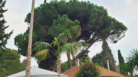 Foto 3 de Apartament per a compartir a Calle Velázquez, 23, Vistahermosa, Cádiz