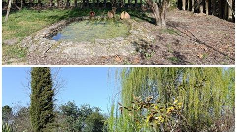 Photo 5 of House or chalet for sale in Praza Maior, 18, Casco Viejo, Ourense