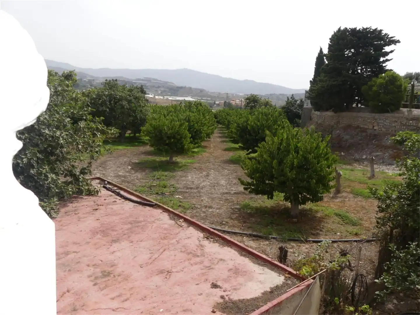Finca rústica en venda a Calle Alonso Terrón, Motril ciudad Finca rústica en venda en Motril amb Jardí privat, Terrassa i Traster