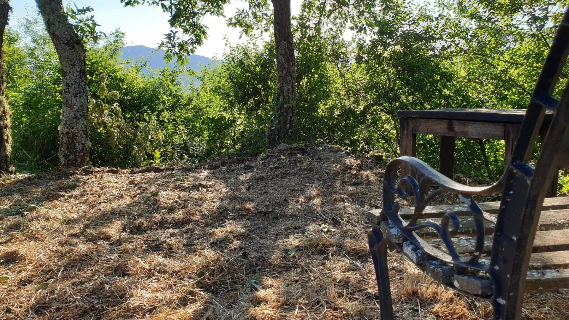 Casa o xalet en venda en Viana do Bolo amb Calefacció, Jardí privat i Parquet