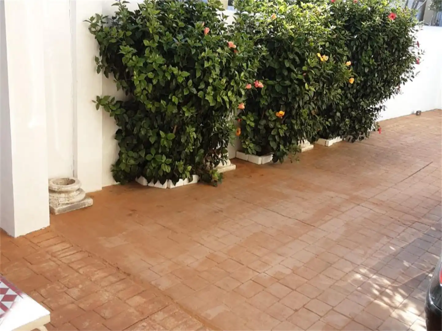 Pis de lloguer a Calle La Tahona, Zahara Pueblo Pis de lloguer a Calle La Tahona, Zahara Pueblo