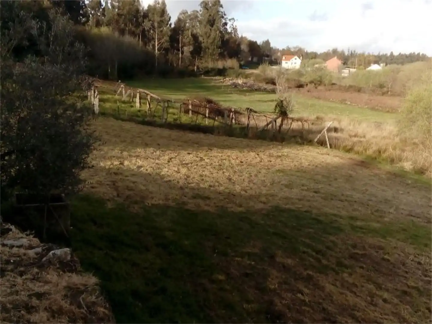 Country homes for sale in Cuntis