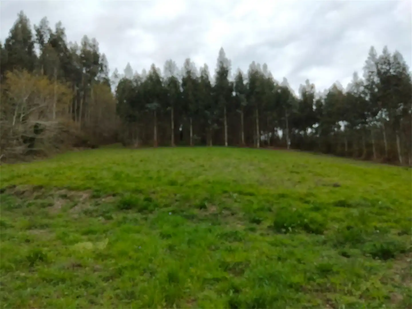 Finca rústica en venda en Cesuras amb Jardí privat i Balcó