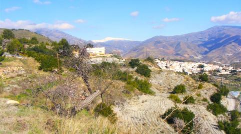 Land for sale in Gr-5209, Gualchos pueblo, Granada - image 5 Photo 5 of Land for sale in Gr-5209, Gualchos pueblo, Granada