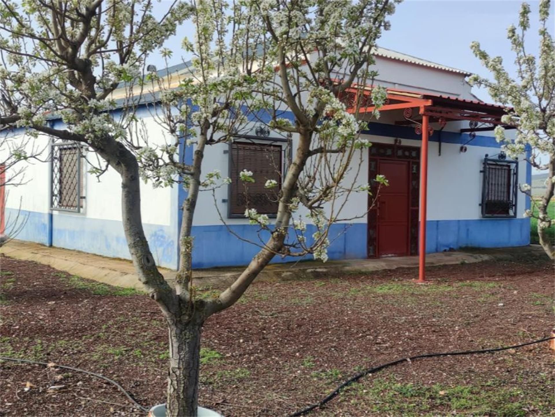 Vista exterior de Finca rústica en venda en Valdepeñas