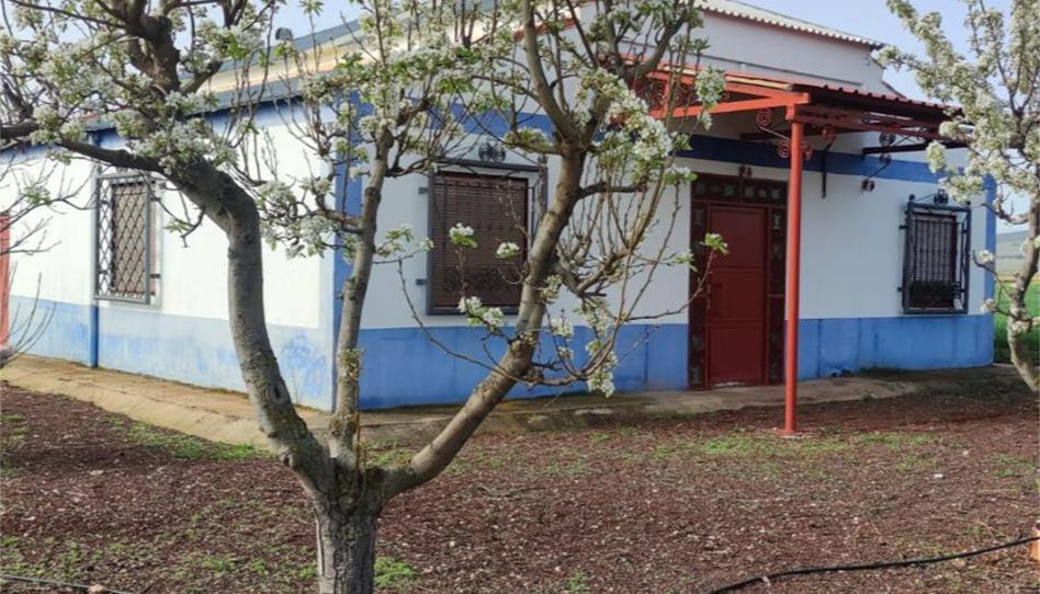 Finca rústica en venda a Cm-4117, Valdepeñas, Ciudad Real - imatge 1 Foto 1 de Finca rústica en venda a Cm-4117, Valdepeñas, Ciudad Real