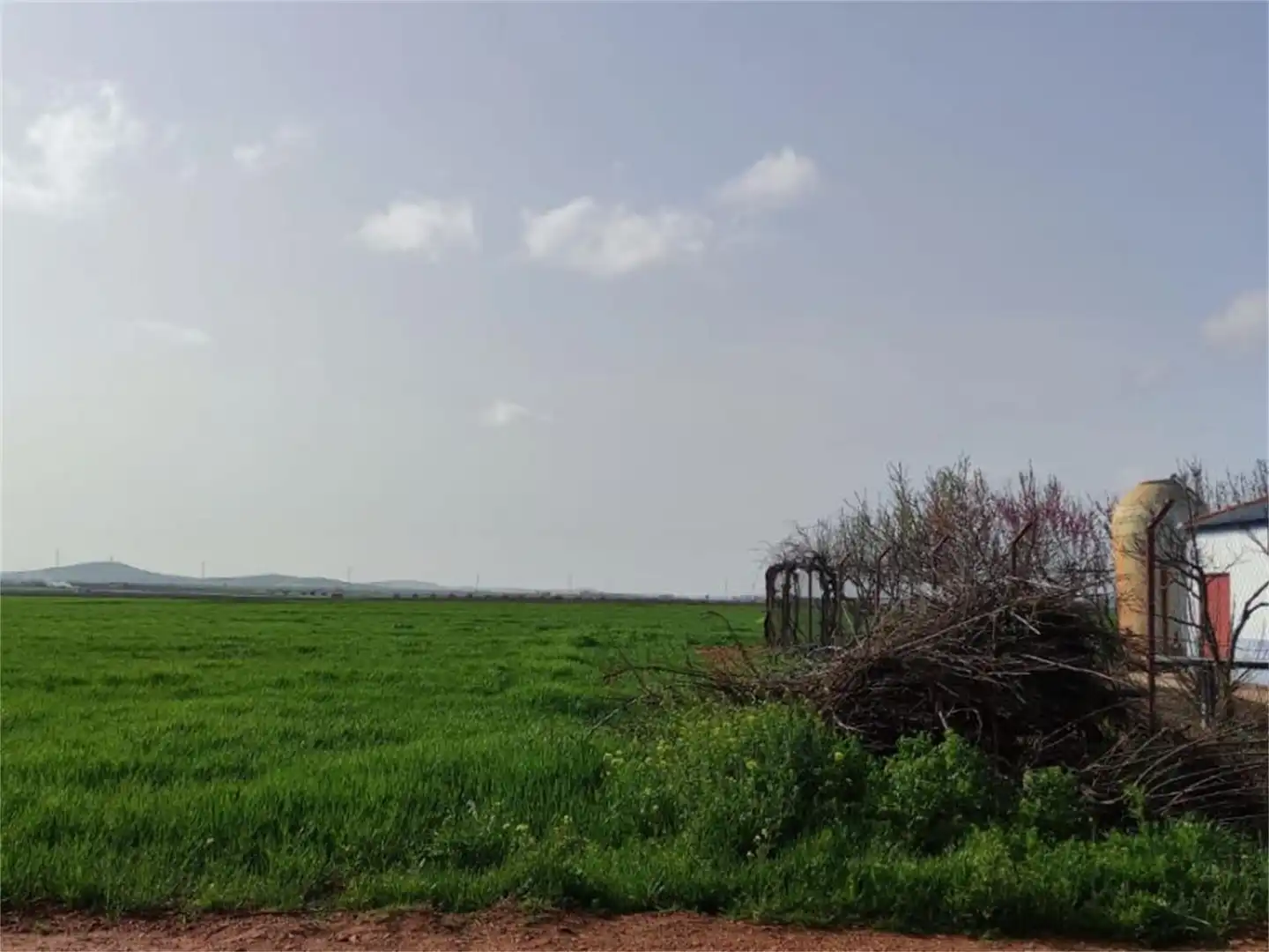 Finca rústica en venta en Cm-4117, Valdepeñas Finca rústica en venta en Valdepeñas
