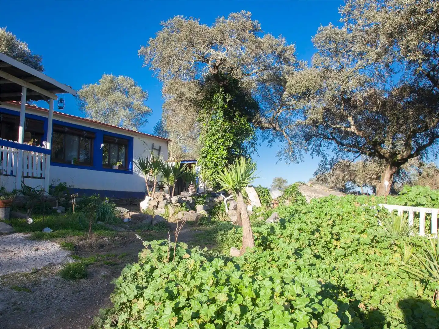 Land for sale in Burguillos del Cerro Garden of Land for sale in Burguillos del Cerro