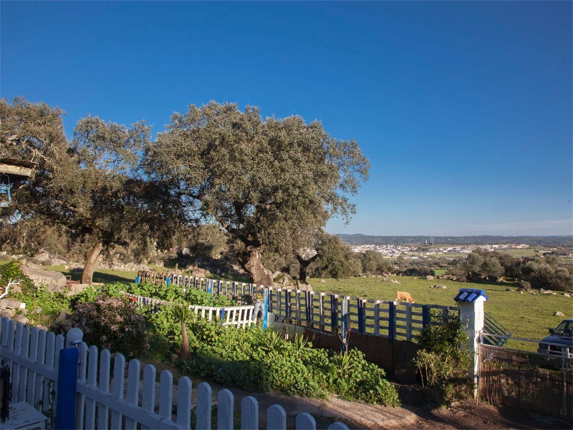 Garden of Land for sale in Burguillos del Cerro