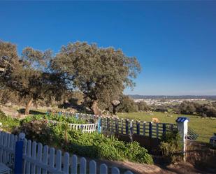 Garten von Grundstücke zum verkauf in Burguillos del Cerro