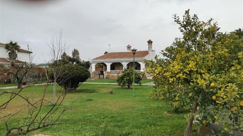 Foto 5 de Casa o chalet en venta en Carretera a la Gabarra, 100, Castilblanco de los Arroyos, Sevilla