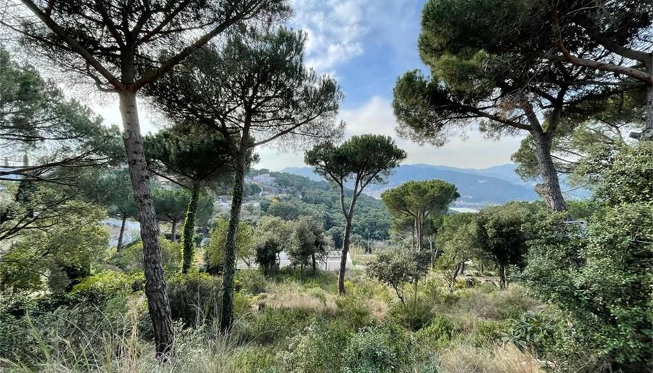 Foto 1 de Finca rústica en venda a Camí de la Cornisa, Urbanitzacions, Barcelona