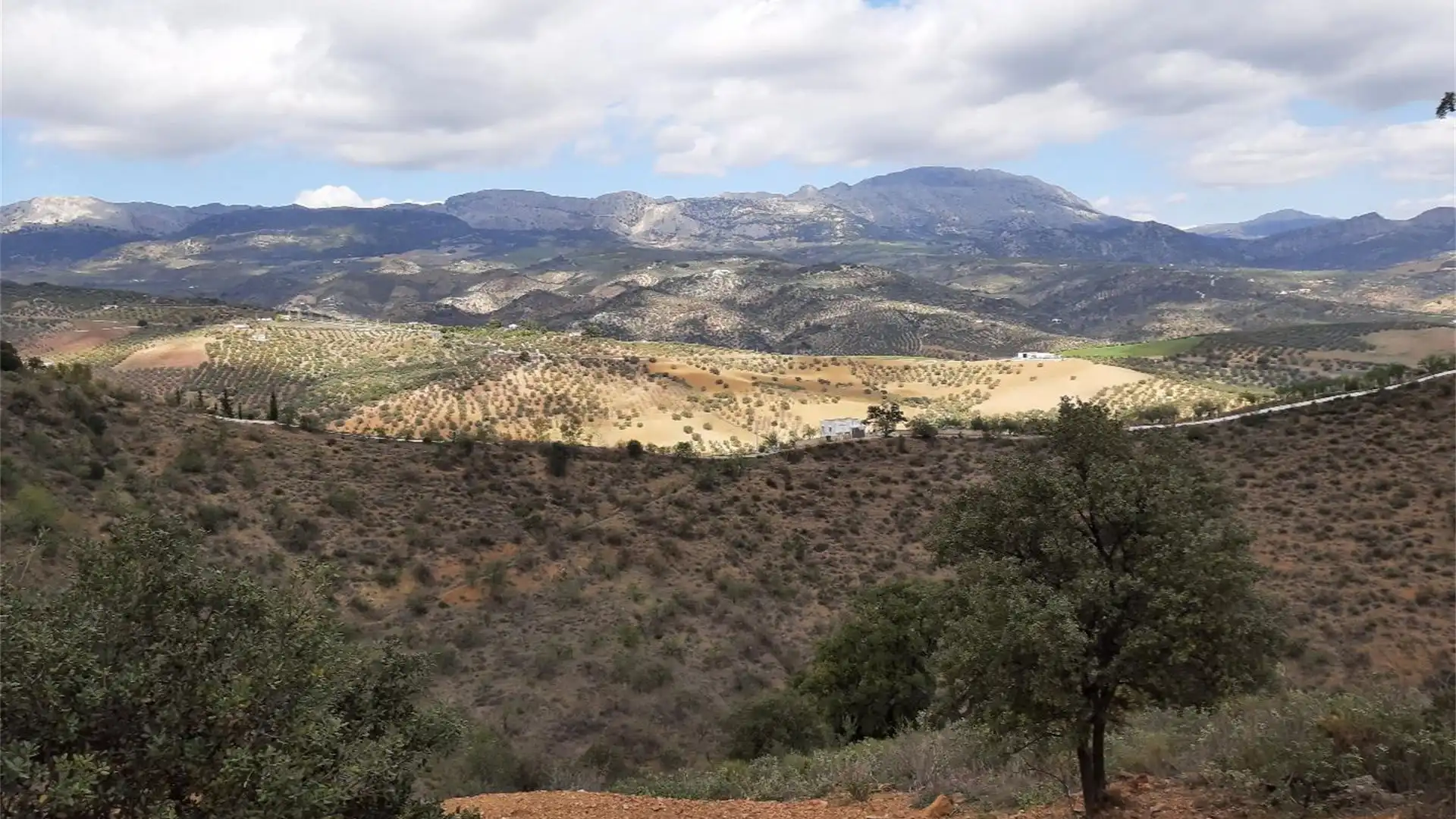 Terreno en venta en Colmenar