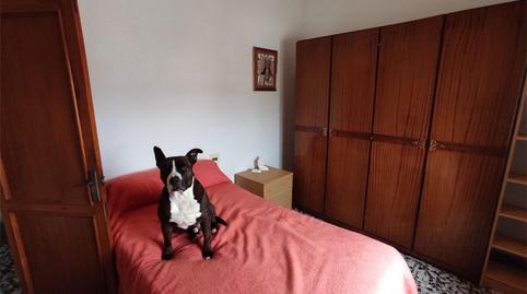 Dúplex per a compartir a Calle Juan Belda Pastor, Sant Rafael, Valencia - imatge 2 Foto 2 de Dúplex per a compartir a Calle Juan Belda Pastor, Sant Rafael, Valencia