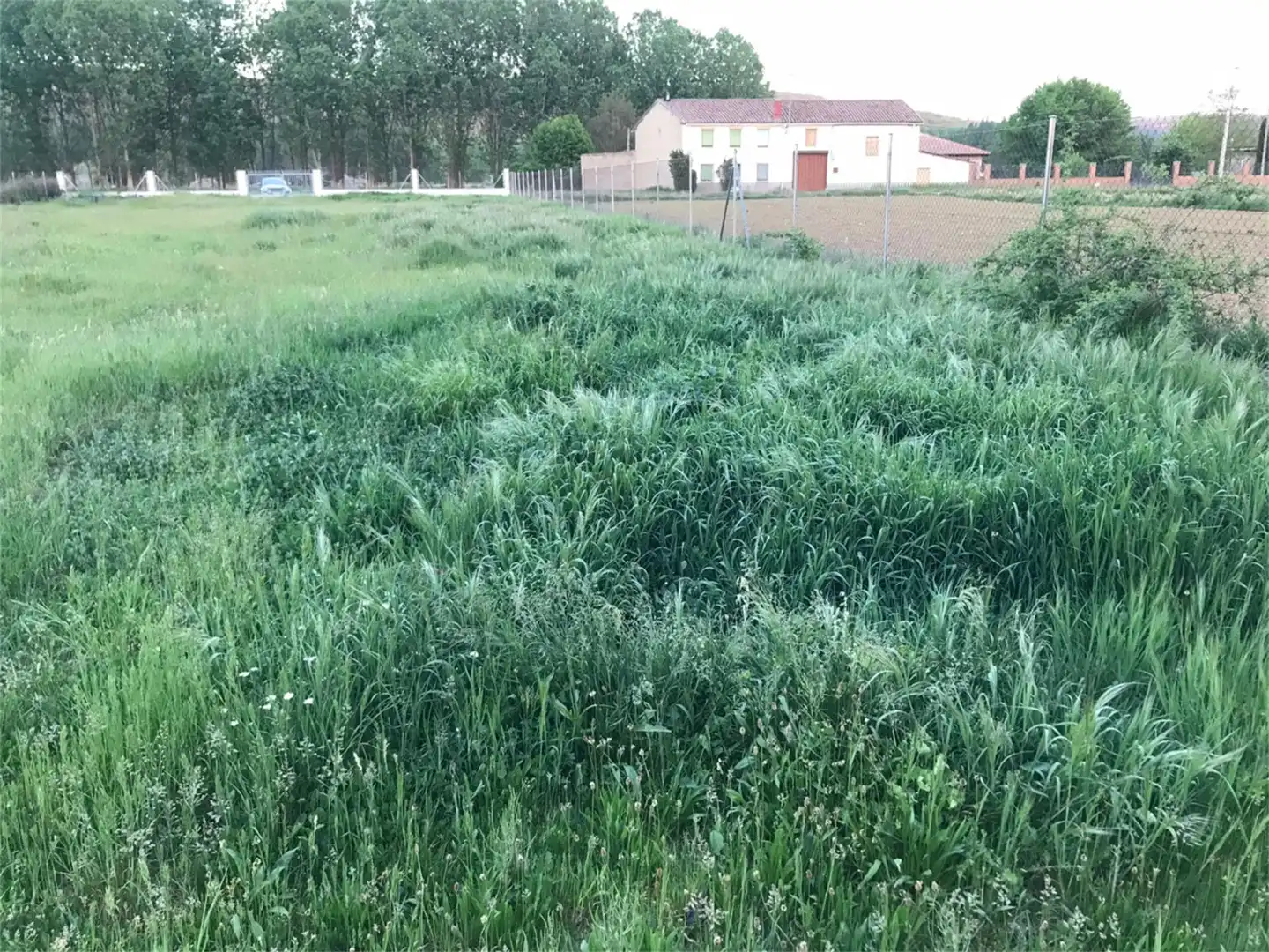 Land for sale in Vegas del Condado