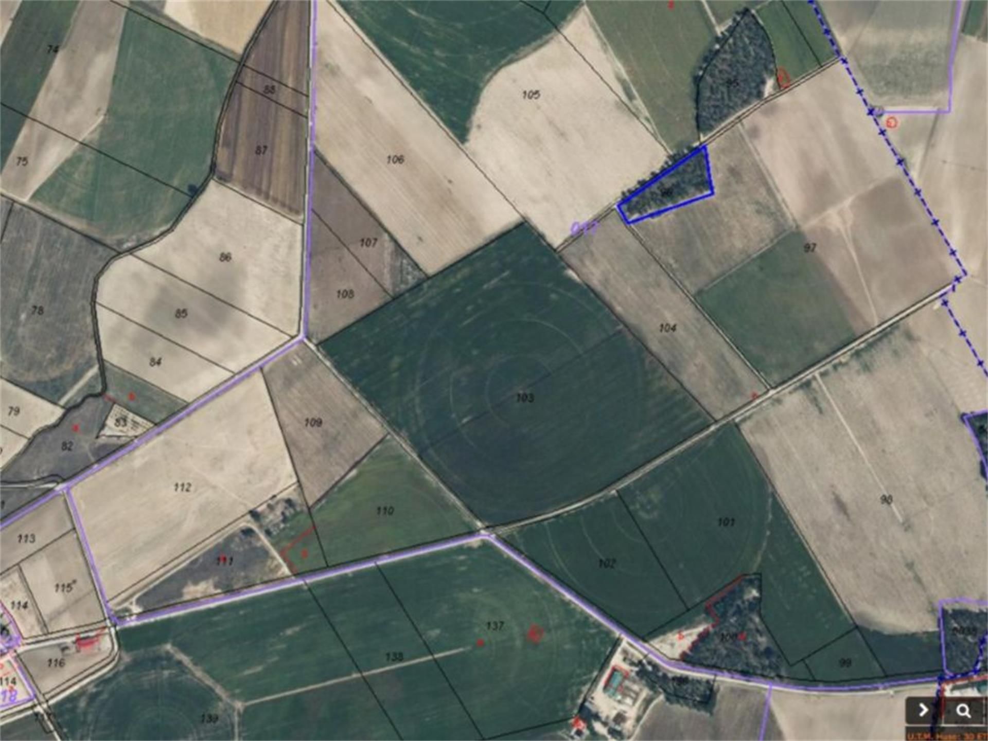 Land for sale in Nava de Arévalo