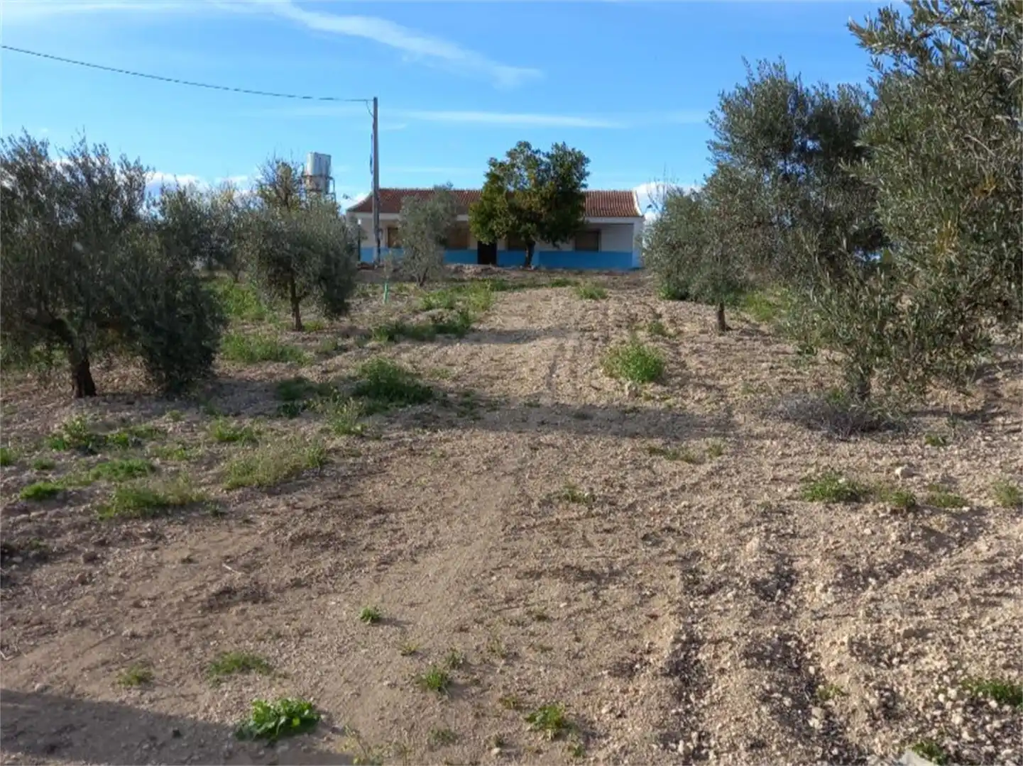 Land for sale in Calle Real, Villamayor de Calatrava Land for sale in Villamayor de Calatrava