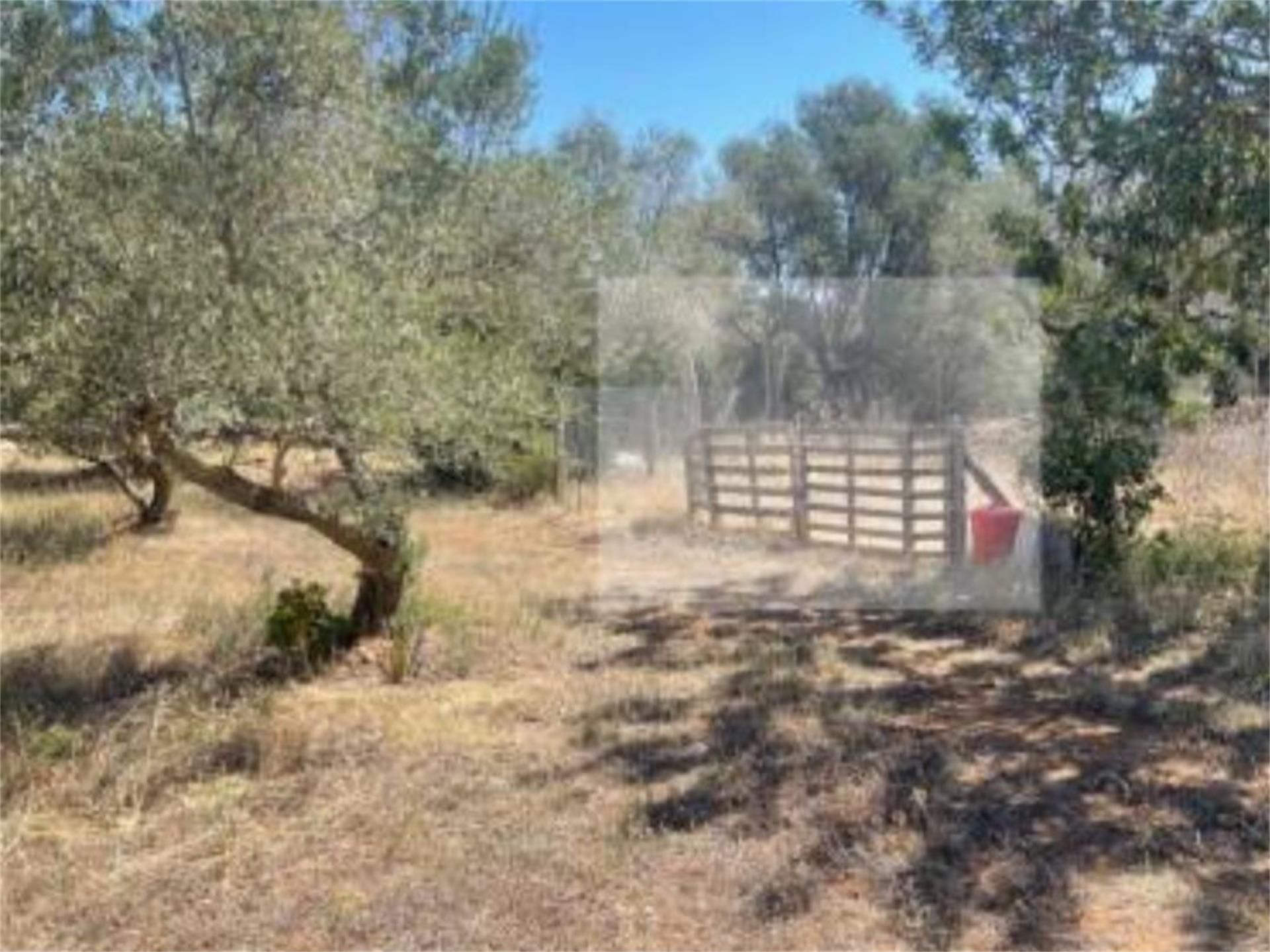 Finca rústica en venda en Aldover