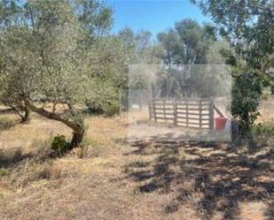 Finca rústica en venda en Aldover