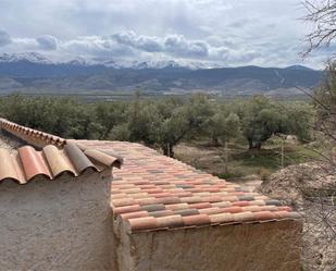Vista exterior de Finca rústica en venda en Fiñana