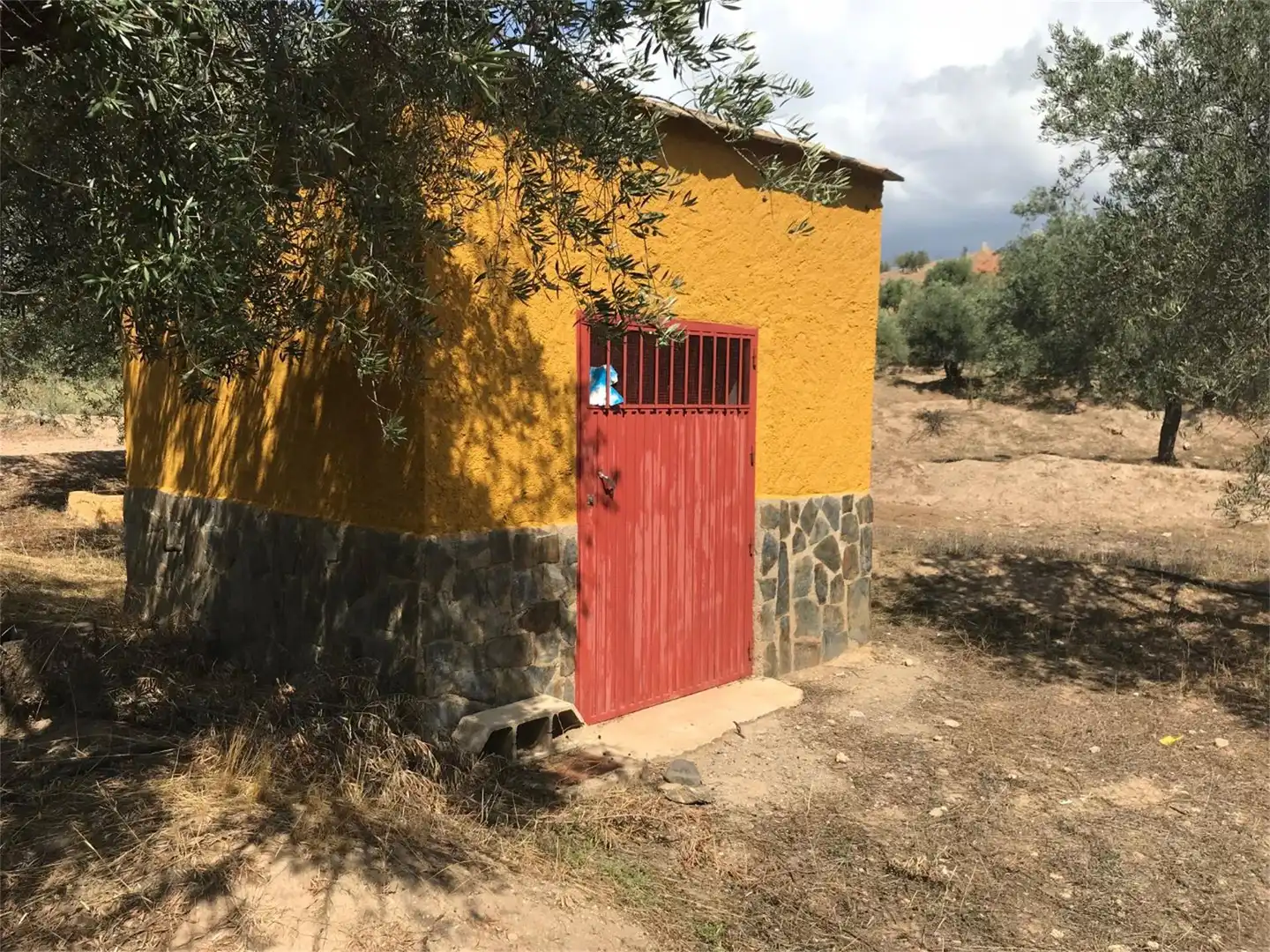 Finca rústica en venta en Fiñana Vista exterior de Finca rústica en venta en Fiñana
