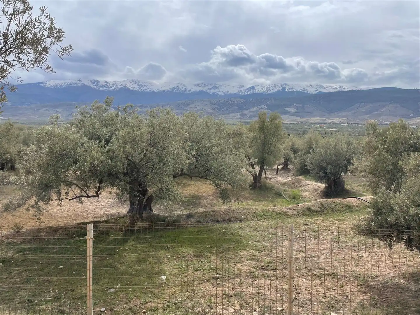 Finca rústica en venta en Fiñana Finca rústica en venta en Fiñana